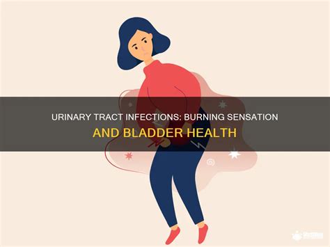 What causes burning sensation in urinary tract