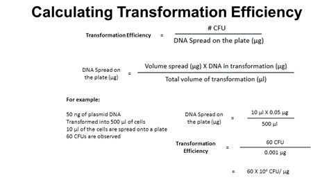 What causes low transformation efficiency? – IronSet