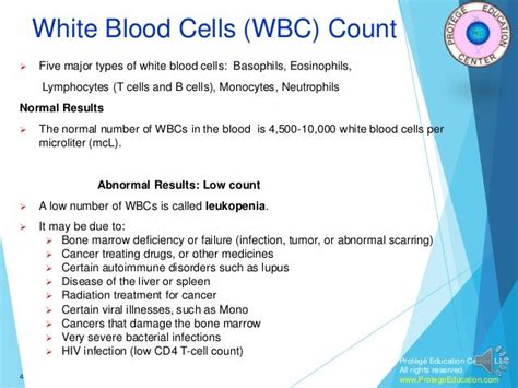 What are the causes of a low white blood count? In this informative article, the most common causes, symptoms and treatment options are explained.