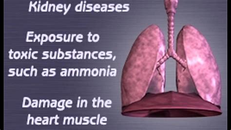 What causes pink fluid in the lungs? - TimesMojo