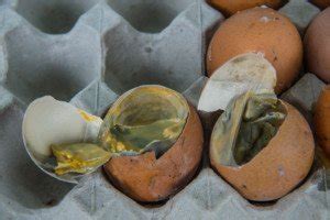 What causes rotten egg burps. Things To Know About What causes rotten egg burps. 