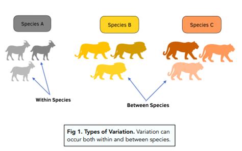 What causes variation GCSE?