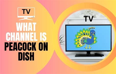 What channel is peacock on dish. Things To Know About What channel is peacock on dish. 