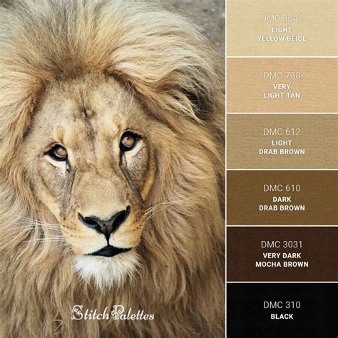 What color are the lion