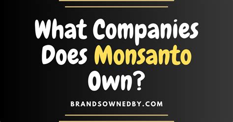 What companies does Bayer Monsanto own?