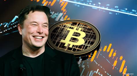 What cryptos does elon musk own. Things To Know About What cryptos does elon musk own. 
