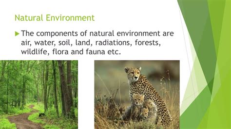 What defines an environment type