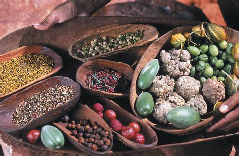 The three main staples in Native American cuisine are beans, squash and corn. Venison, wild rice, squash, pumpkin, berries and greens are also mainstays in American Indian food culture.. 