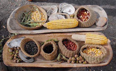 What did native american eat long ago. Things To Know About What did native american eat long ago. 