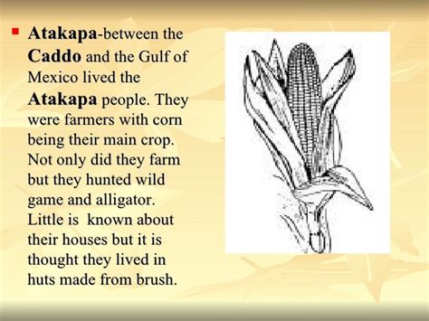 The Atakapa or Attacapa people occupied the coastal and bayou areas of southwestern Louisiana and southeastern Texas until about 1800. Estimates of their numbers are around 3,500 in 1698 and just .... 