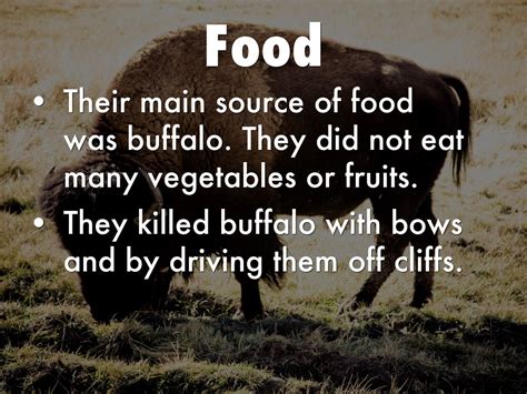 What kind of food did the Blackfoot tribe eat? The Blackfoot tribe's diet consisted primarily of bison meat, as well as other wild game and wild forage, such as turnips, camas root, and native herbs. Most of the Blackfoot tribe food recipes used Bison meat as a base. They mixed bison meat with other ingredients, such as chokecherries, to make .... 