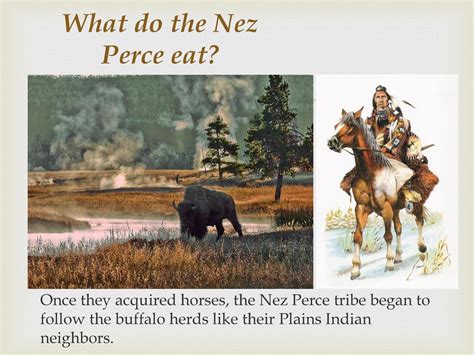 The Nez Perce, a federally recognized tribal nation in north-central