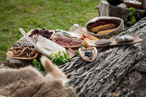 What did the Great Plains eat? The Plains Indians who did travel constantly to find food hunted large animals such as bison (buffalo), deer and elk. They also gathered wild fruits, vegetables and grains on the prairie. They lived in tipis, and used horses for hunting, fighting and carrying their goods when they moved.. 