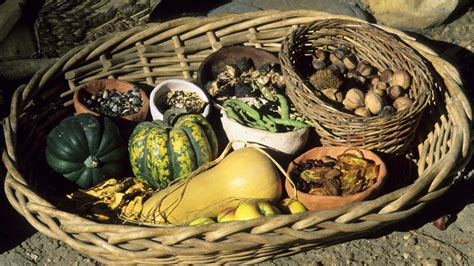 They also consumed agricultural products like seeds, corn, squash, beans, and chili. Back then, soup was prepared using fresh beans and corn. They harvested cotton and wove yucca fibers to produce clothing. They made dried fruits and vegetables as a means of preserving food. 