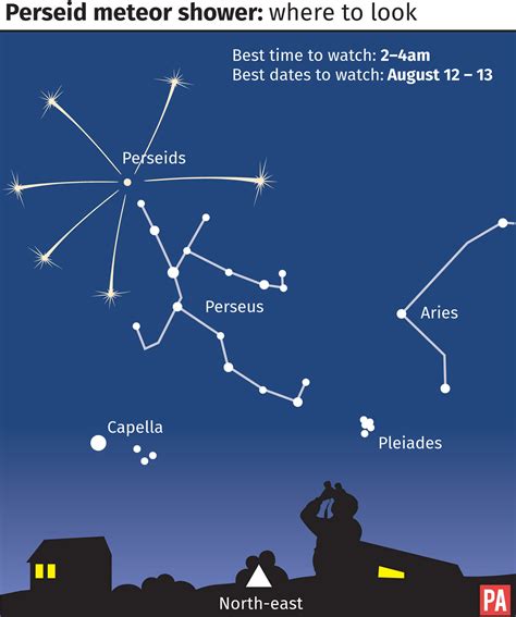 What direction is perseid meteor shower
