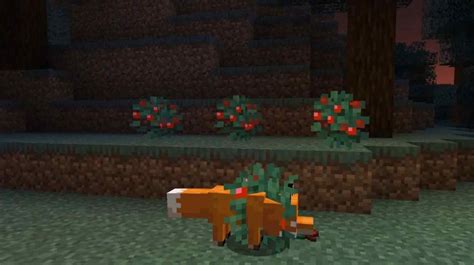 What do Foxes Eat and How to Tame Them in Minecraft 