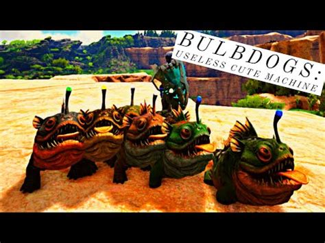 Learn how to tame a Bulbdog, a cute and passive starter glow-pet that can be fed with Aquatic Mushrooms or Cooked Lamb Chop. Find out its stats, stats calculator, spawn command, and encountering tips from the iOS and Android apps.. 