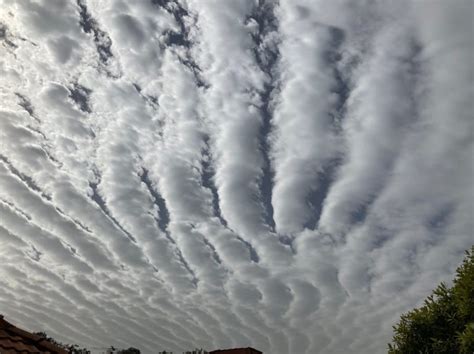 What do cloud streets mean