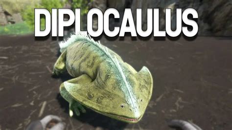 What do diplocaulus eat ark. Today We check out update 248.0 With the new additional dinosaurs; Chalicotherium/Kaprosuchus/Diplocaulus ; along with the new procedural generated maps! A... 