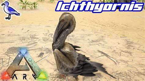 This video is a guide for taming a Ichthyornis in Ark Survival Evolved. I go into detail about the facts, the methods that you can use and just how effective they are. Taming an Ichthyornis....