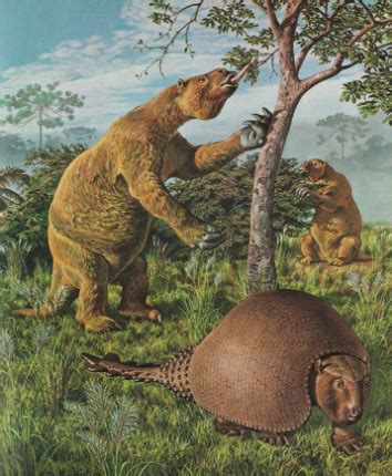 It was fossil mammals, not dinosaurs, which enthralled the public during the turn of the 19th century, and arguably the most famous was the enormous ground sloth Megatherium. It was more than just .... 