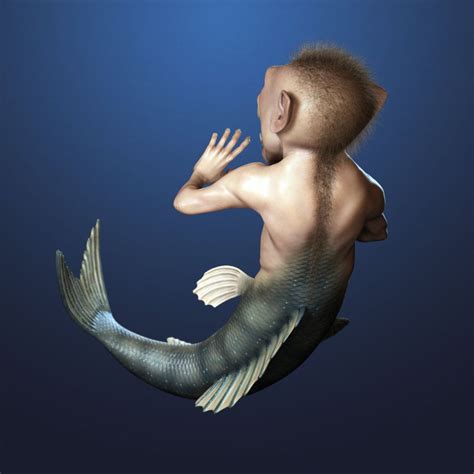 What do mermaids look like? - Quora