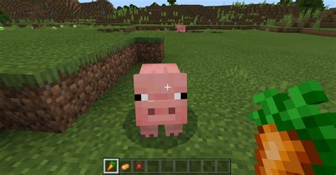 What do pigs eat in minecraft. Jul 14, 2022 · That concludes our guide to what pigs eat in Minecraft. They only consume four food types, but luckily, they’re very easy to find and collect. With this knowledge in hand, you’re on your way to starting up your own pig farm. Enjoy your infinite pork chops! Also Know. What Do Parrots Eat in Minecraft; What Do Foxes Eat in Minecraft 