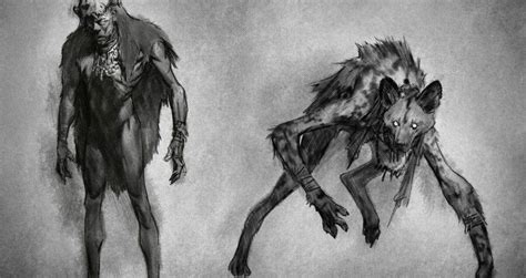 The skinwalker (also known as yenaglooshi or mai-coh in the Navajo language) is a type of Witch or sorcerer in Navajo traditions. This witch practices black magic, and derives the name 'Skinwalker' from their shapeshifting powers. By draping the hide of a certain animal (most often a coyote or a dog, but also bear, owl and deer, though mostly ... . 