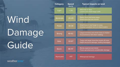 What does 20ft wind mean