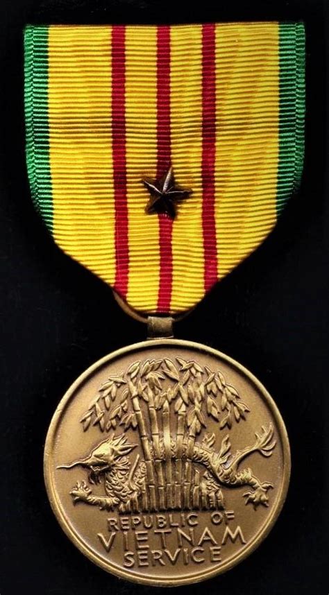 What does Bronze Star on Vietnam Service Medal mean?