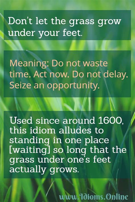 What does Dont let grass grow under your feet mean?