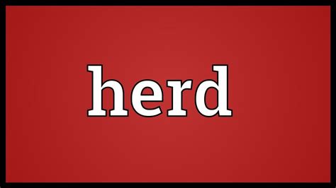 What does Herd mean in German? - WordHippo