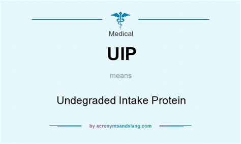 What does UIP mean? - SimpleDefinitions