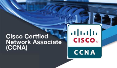 What does a Cisco Certified Network Associate do? - Glassdoor