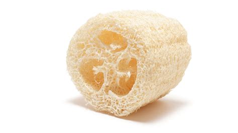 loofah meaning, definition, what is loofa