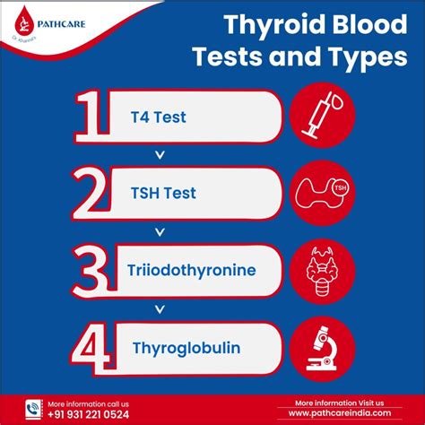 What does a thyroid blood test show