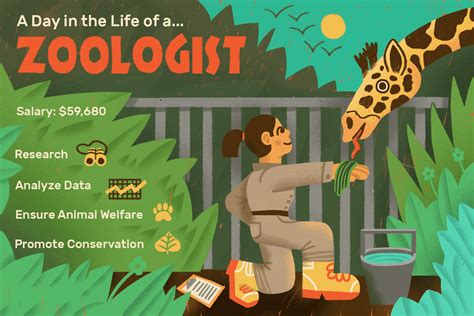 What does a zoologist do. What Does a Zoologist Do? Zoologists are biologists who study animal species. Their studies involve researching animal behavior and characteristics to determine how they interact with their ecosystems. Typical duties for a zoologist include research projects, writing reports, ensuring animal welfare, and promoting conservation efforts. 