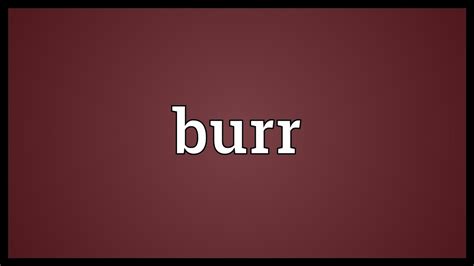 What does buur mean? - Definitions.net