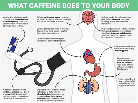 Discover the effects and benefits of caffeine on your body, explaining its various impacts on health, energy levels and cognitive function.