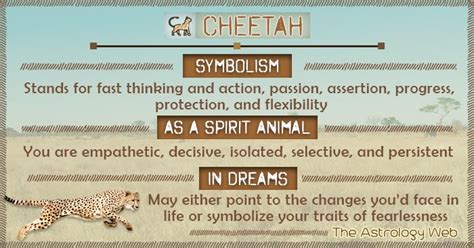 What does cheta mean? - definitions