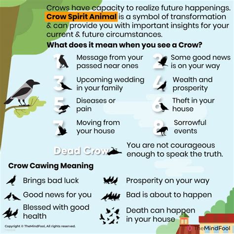 What does crow mean - Definition of crow - Word finder