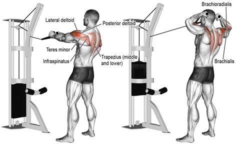 What does face pull work. Cable face pulls: Attach a rope attachment to a cable machine and set it at shoulder height. Grasp the rope with your palms facing each other and pull it towards your face, keeping your elbows close to your sides. Pause for a moment and squeeze your shoulder blades together. Return to the starting position and repeat. 