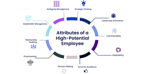 What does high potential mean to an average employee?