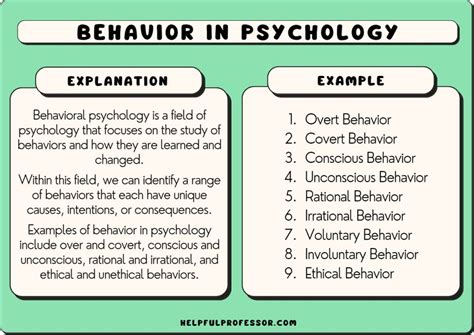 What does human behavior mean? - Definitions.net