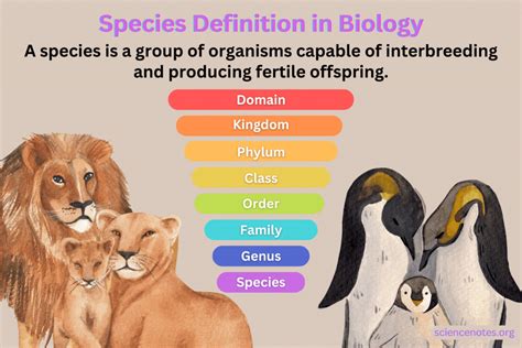 What does immutability of species meaning definition