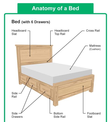 What does in bed mean? - Definitions.net