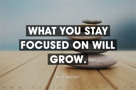 What does it mean to be focused? - Daily Justnow