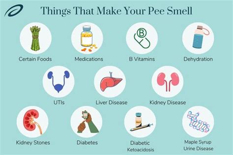 What does it mean when your pee smells like fish.  Understanding why does my pee...