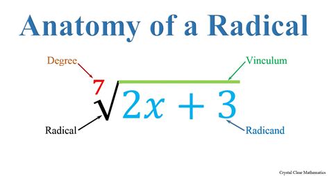 What does radical mean
