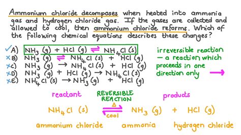 What does salt and ammonia make? – TeachersCollegesj